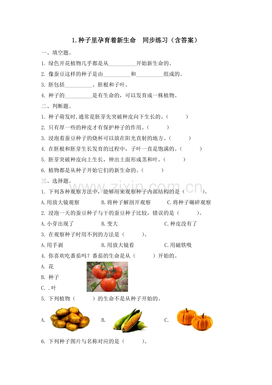 1.种子里孕育着新生命--同步练习(含答案)1.doc_第1页