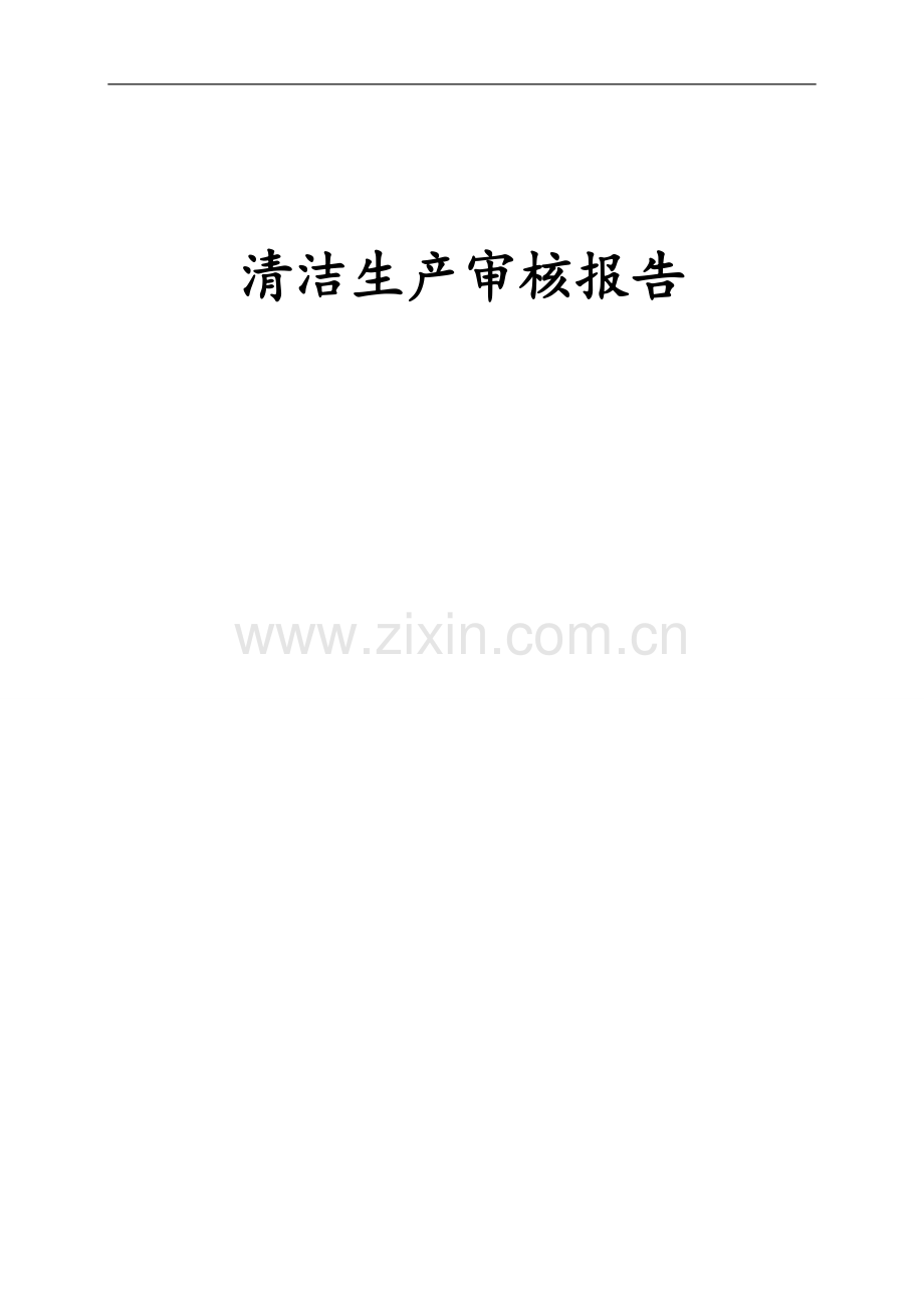 华润纸业有限公司清洁生产审核报告.doc_第1页