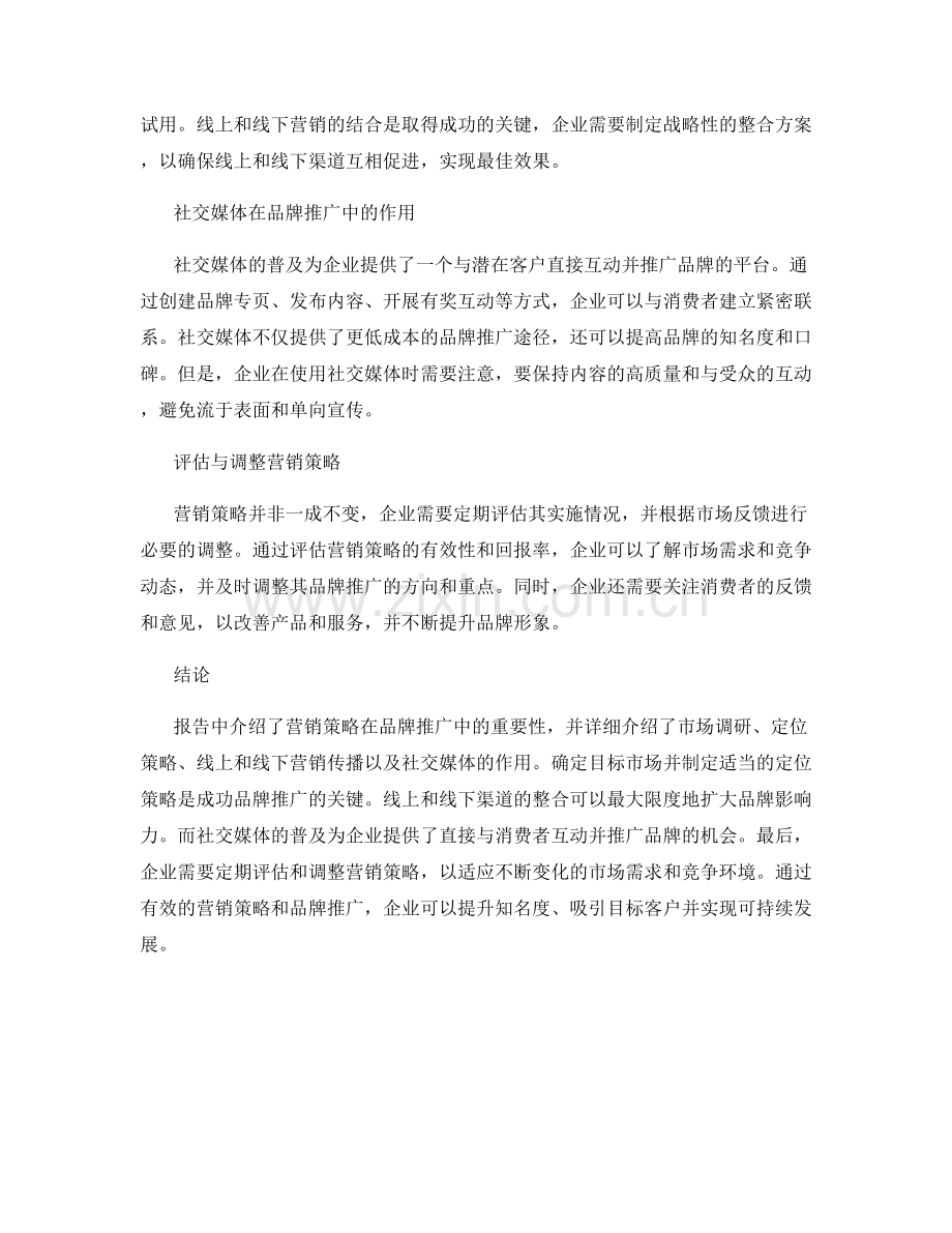 报告中的营销策略与品牌推广.docx_第2页