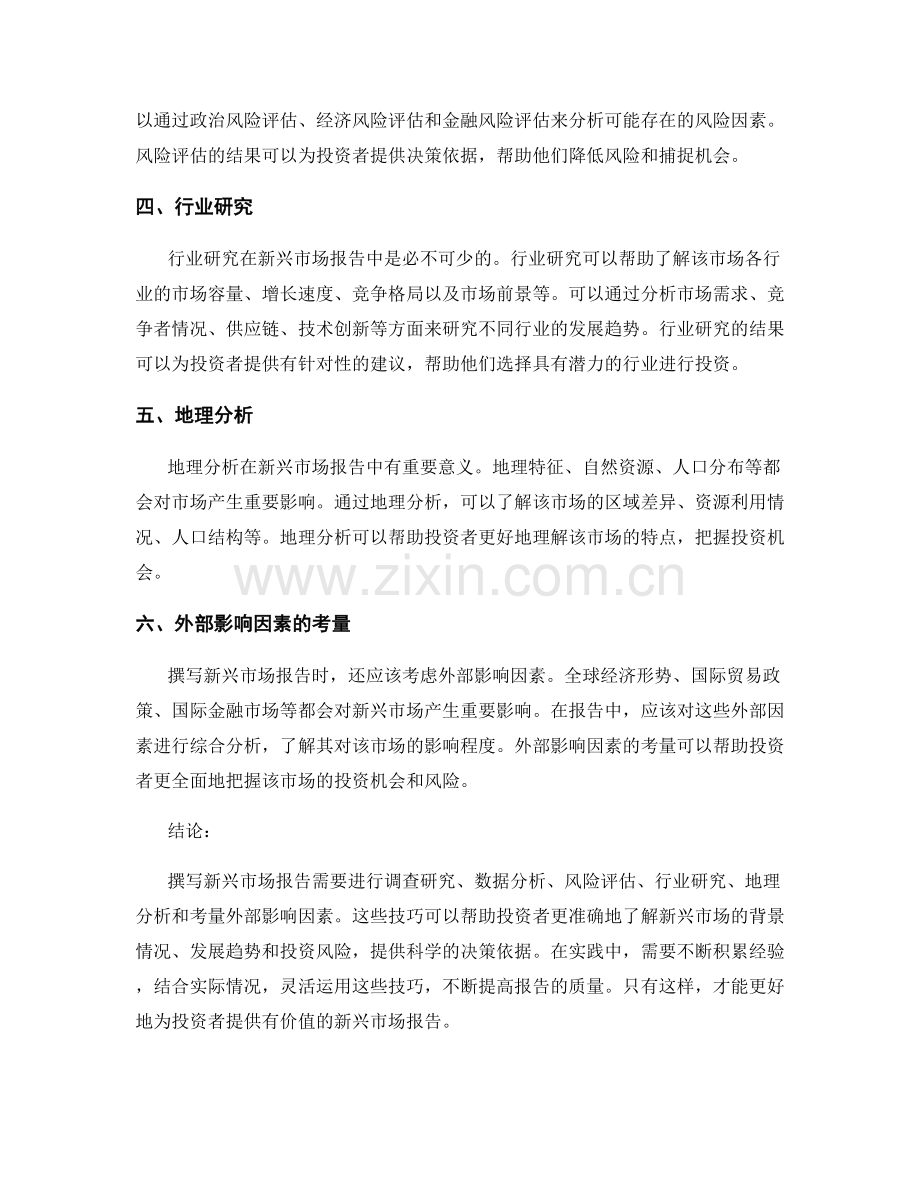 新兴市场报告的撰写与分析技巧.docx_第2页