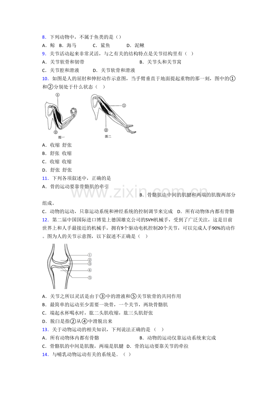 长沙市长郡中学生物八年级上册期末试卷含答案.doc_第2页