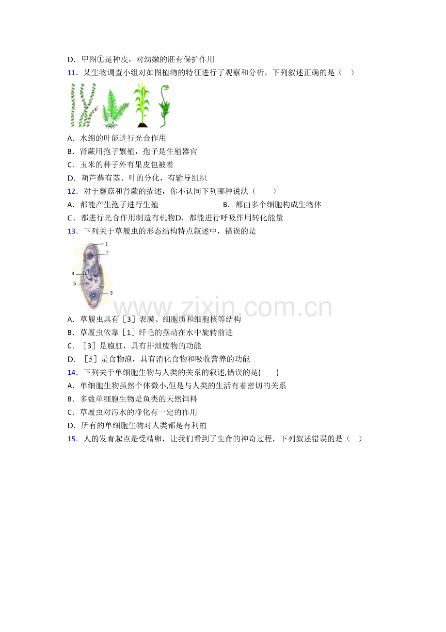 2023郴州市生物七年级上册期末试卷含答案.doc_第3页