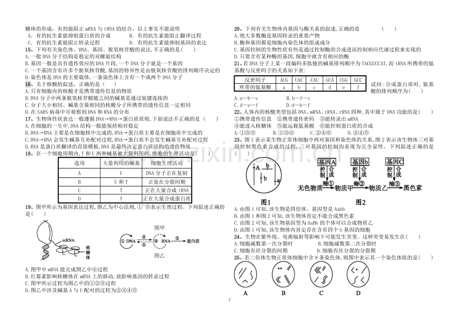 高中生物必修二考试试题(含答案).doc_第2页