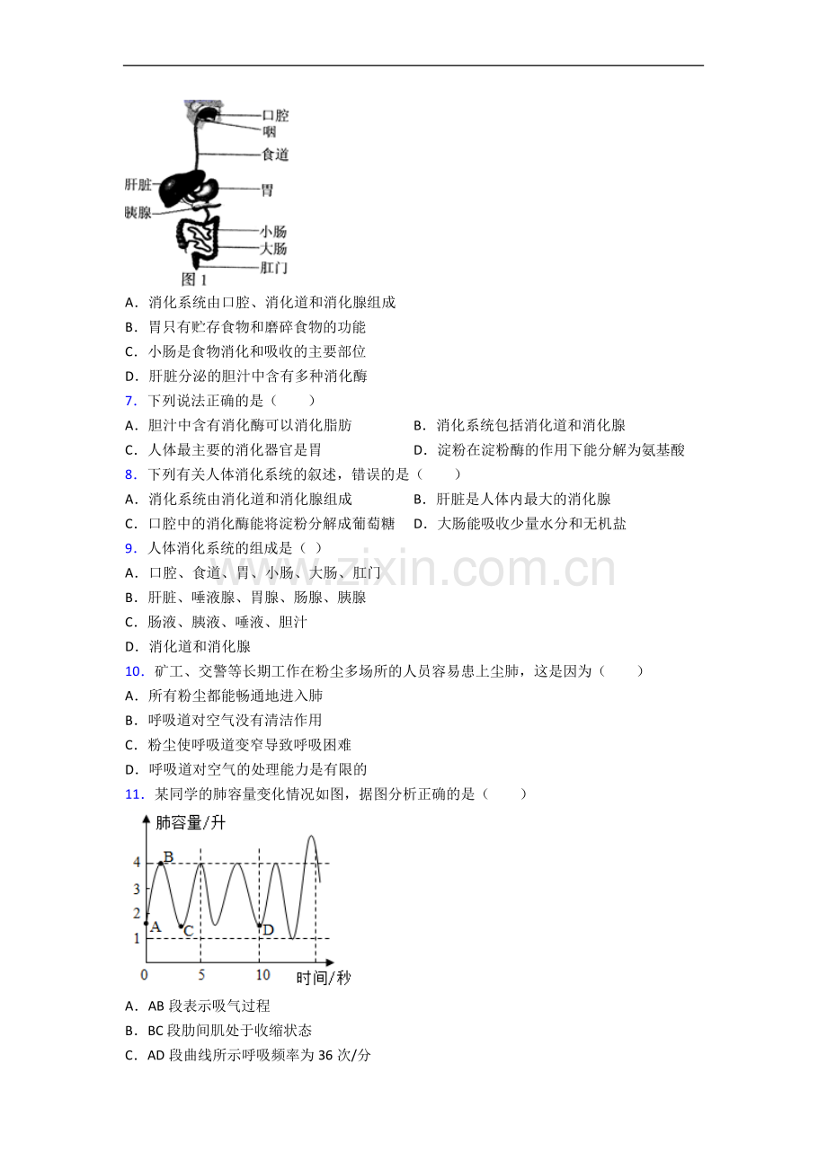 青岛市人教版七年级下册期中生物期中试卷及答案.doc_第2页