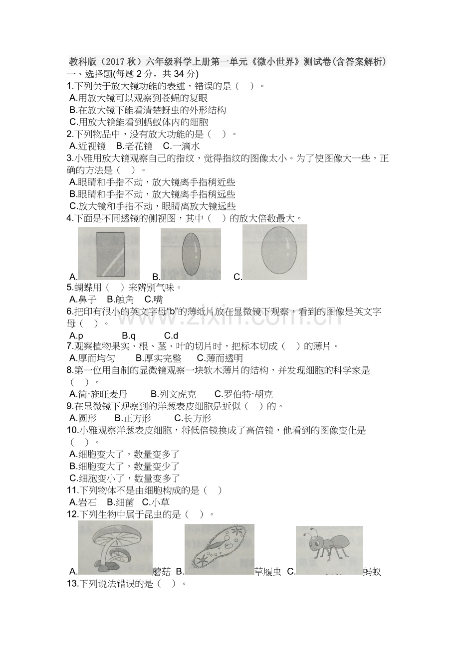 教科版六年级科学上册第一单元《微小世界》测试试卷.doc_第1页