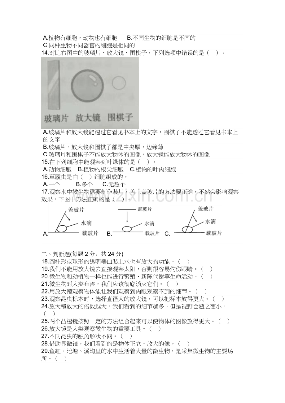 教科版六年级科学上册第一单元《微小世界》测试试卷.doc_第2页