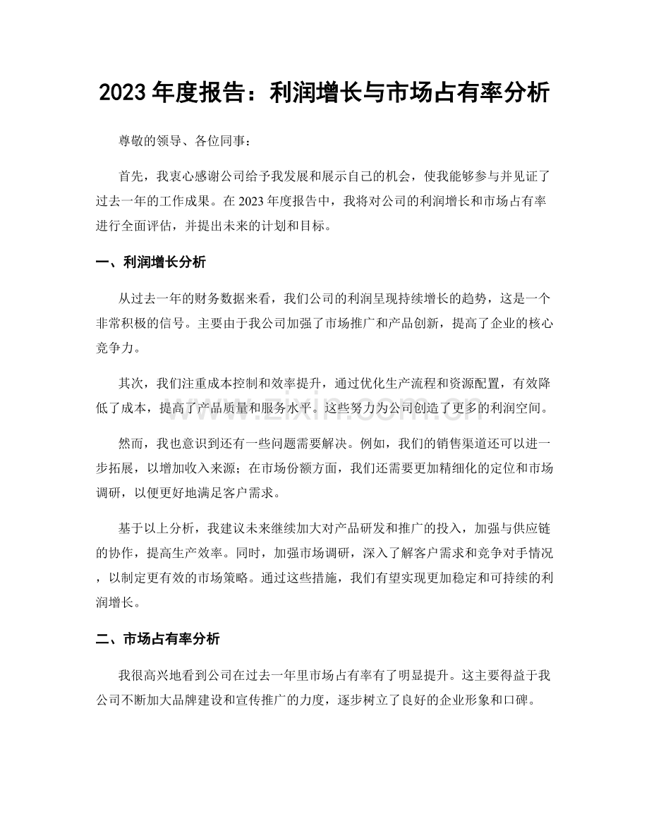 2023年度报告：利润增长与市场占有率分析.docx_第1页