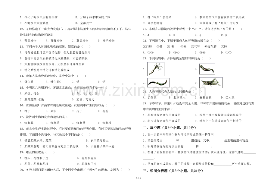 人教版七年级上册《生物》期末试卷(含答案).doc_第2页