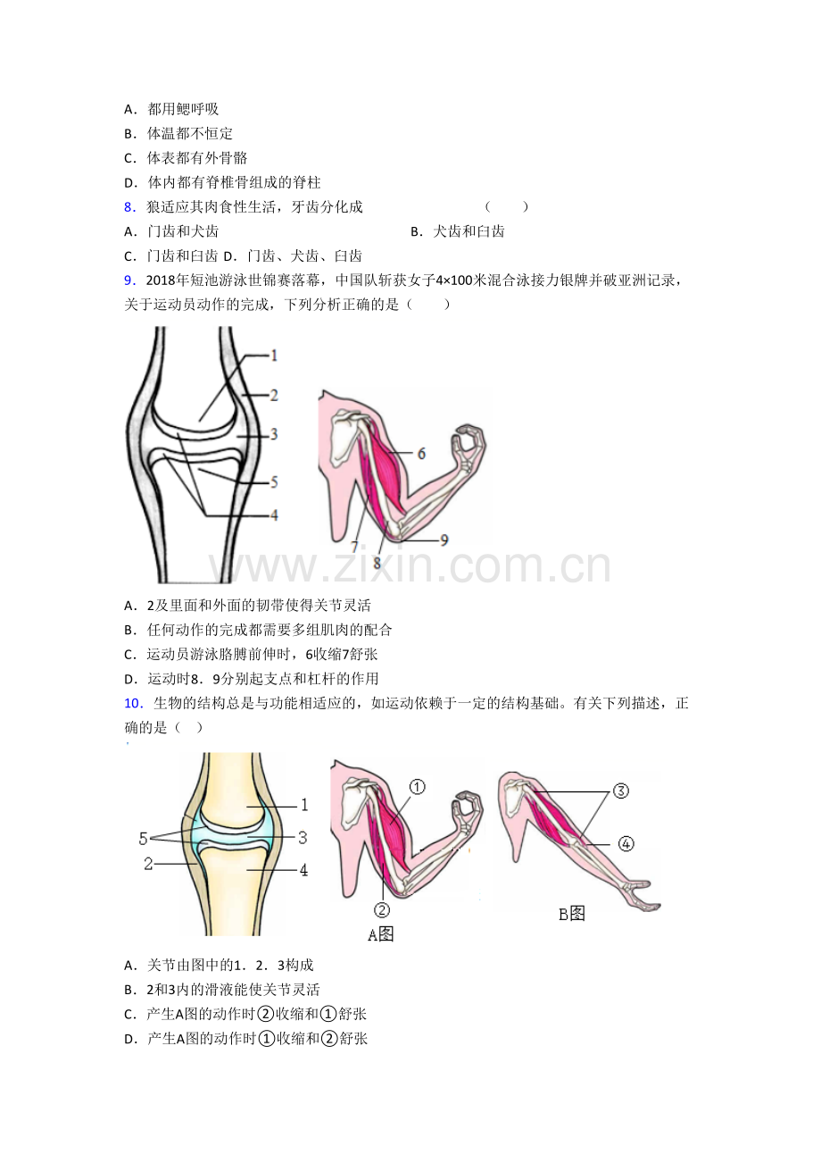 深圳实验学校八年级上册期末生物试卷含答案.doc_第2页