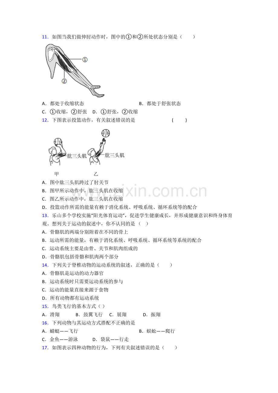 深圳实验学校八年级上册期末生物试卷含答案.doc_第3页