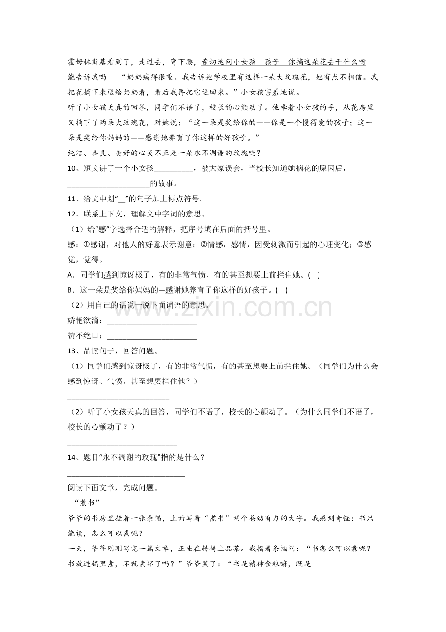 三年级上册期末语文复习试卷测试题(答案)(部编版).doc_第3页