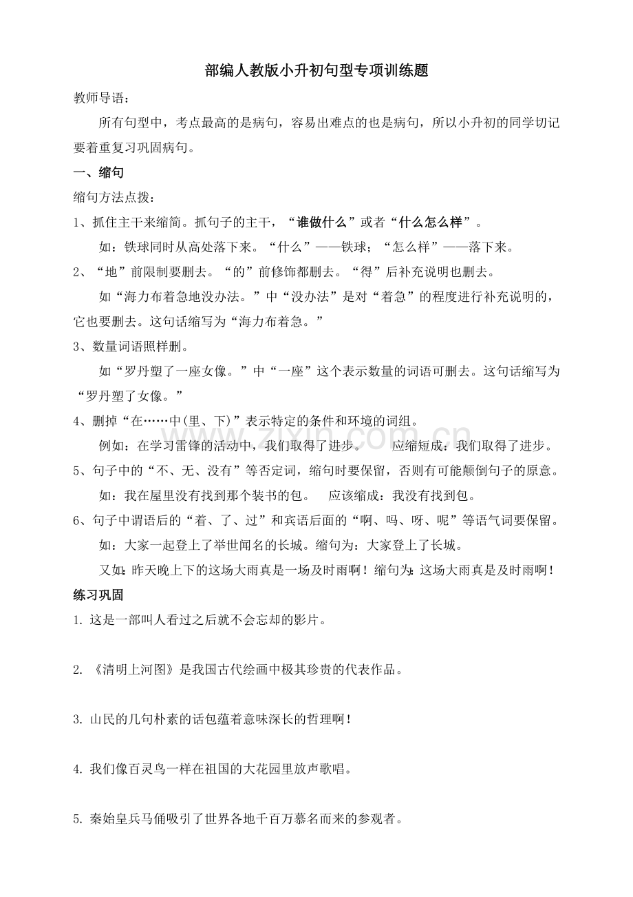 2020部编人教版小升初句型专项训练题.doc_第1页