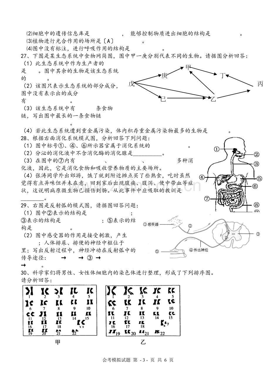 人教版初二生物会考模拟题(含参考答案).doc_第3页