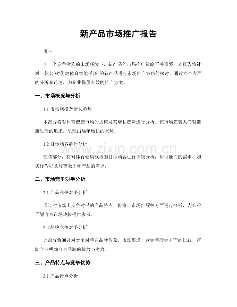 新产品市场推广报告.docx_第1页