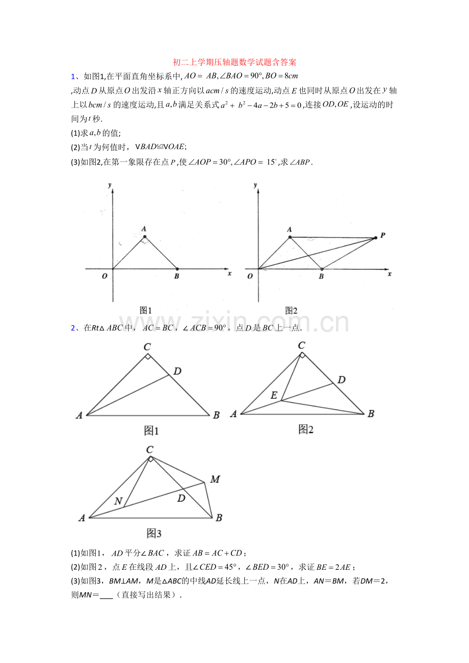 初二上学期压轴题数学试题含答案.doc_第1页