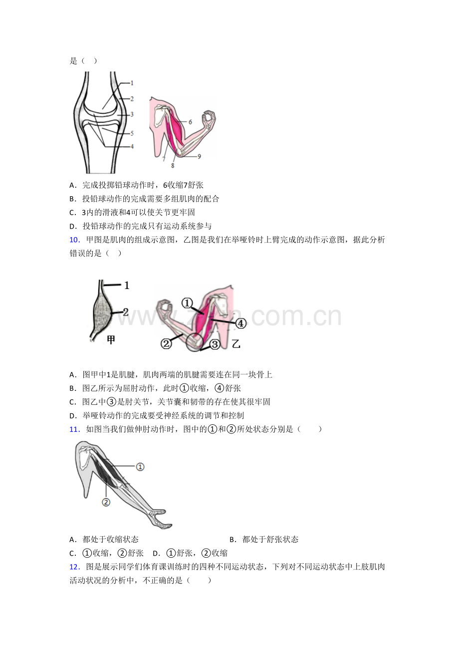 海南文昌中学生物八年级上册期末试卷含答案[001].doc_第2页