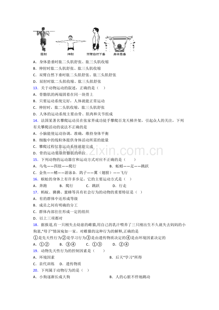 海南文昌中学生物八年级上册期末试卷含答案[001].doc_第3页