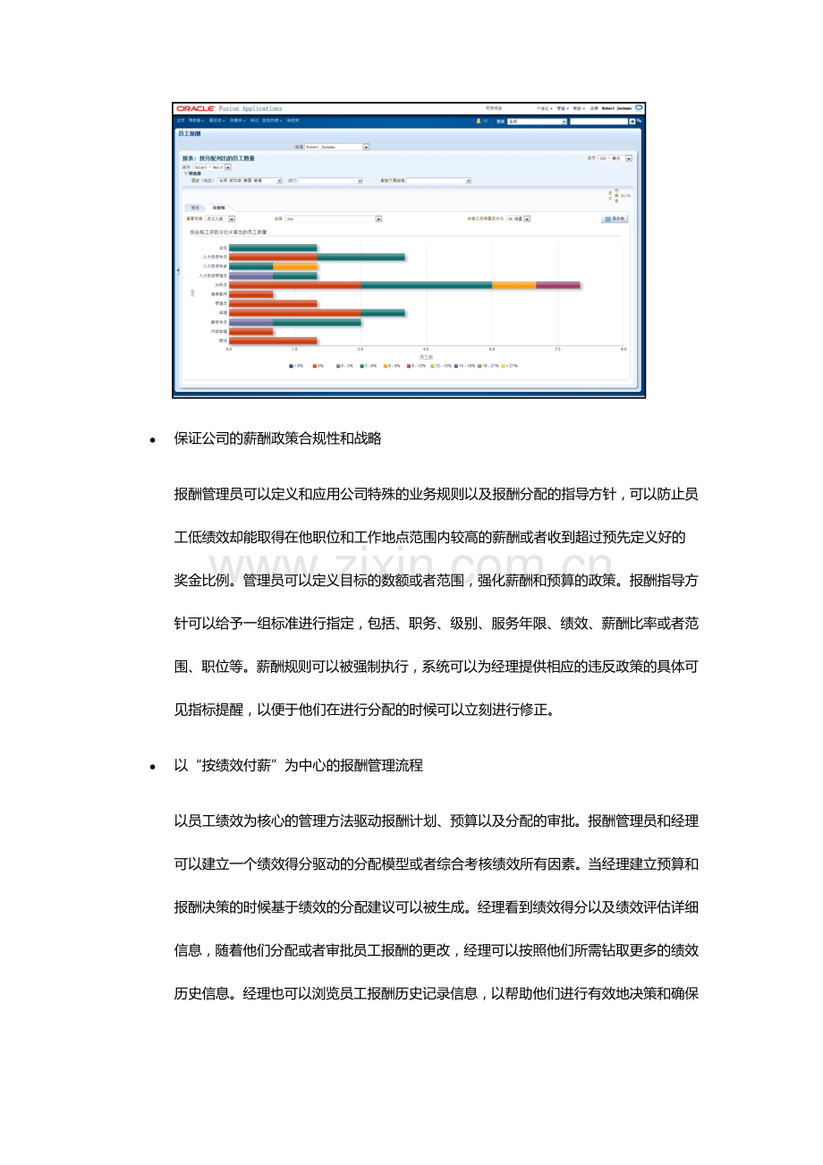 甲骨文人力资源管理软件薪酬管理解决方案.docx_第3页