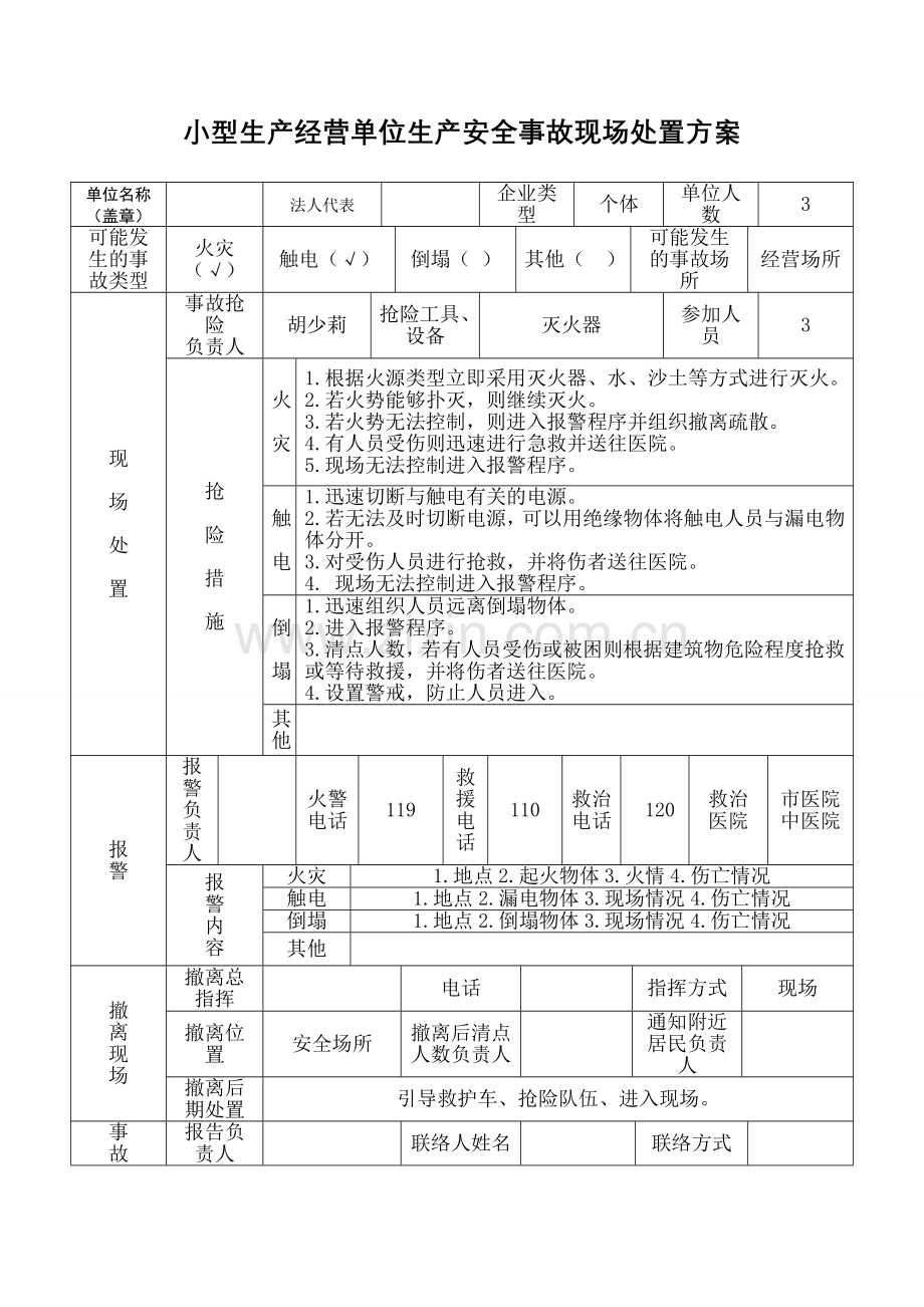 小型生产经营单位生产安全事故现场处置方案.docx_第1页