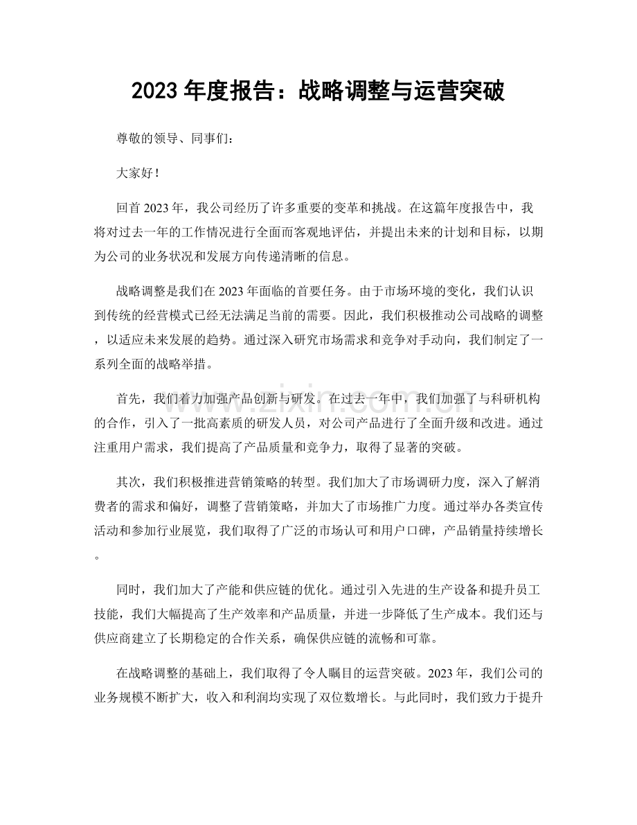 2023年度报告：战略调整与运营突破.docx_第1页