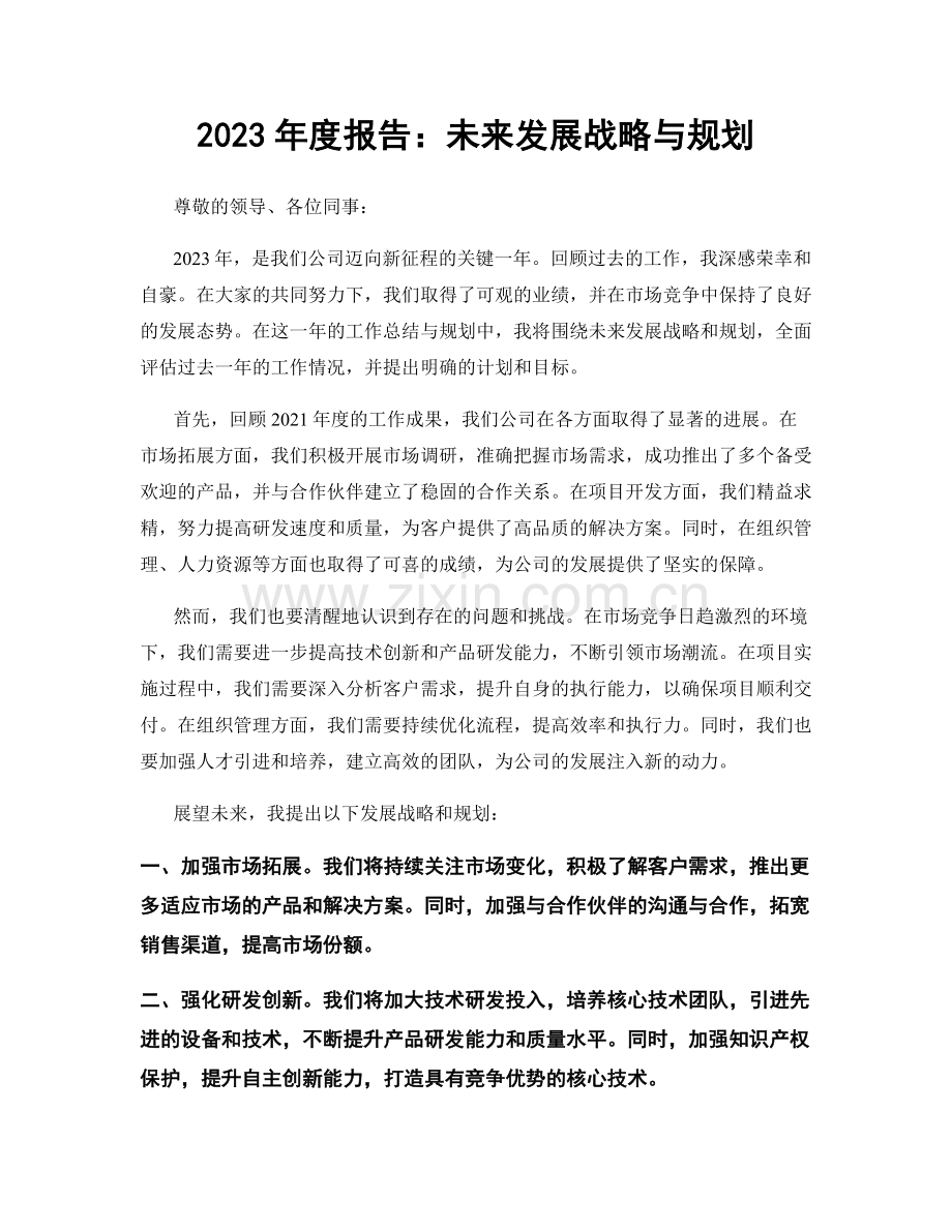 2023年度报告：未来发展战略与规划.docx_第1页