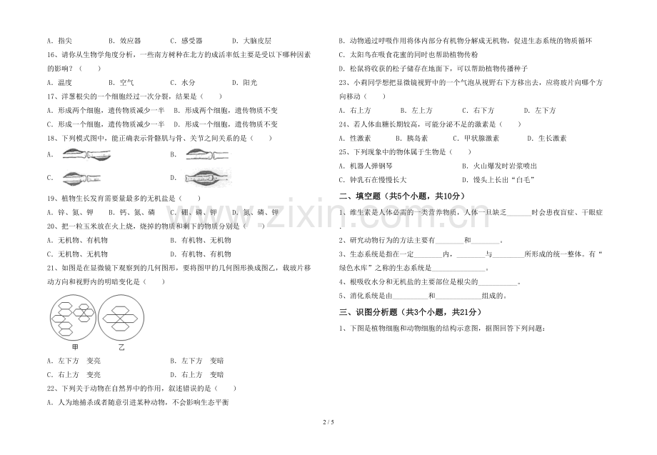 人教版七年级上册《生物》期末考试卷(加答案).doc_第2页