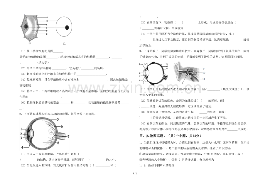 人教版七年级上册《生物》期末考试卷(加答案).doc_第3页