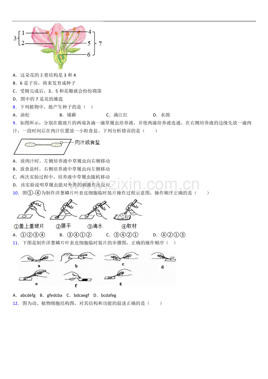 广州市华附奥校人教版七年级上册期末生物期末试卷及答案.doc_第2页