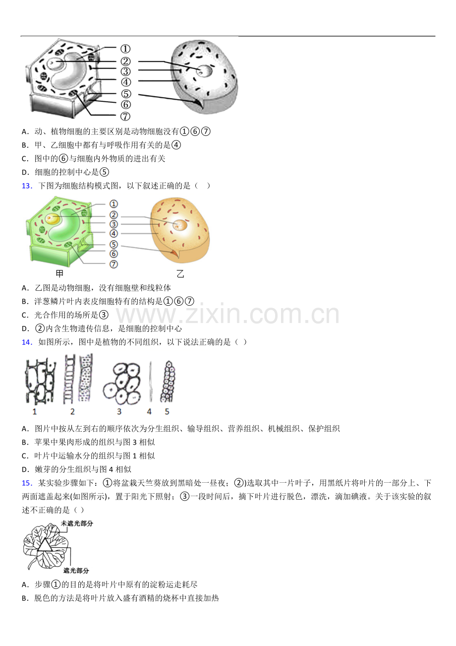 广州市华附奥校人教版七年级上册期末生物期末试卷及答案.doc_第3页