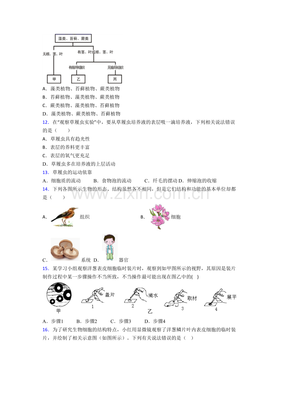 2023成都市生物七年级上册期末试卷含答案.doc_第3页