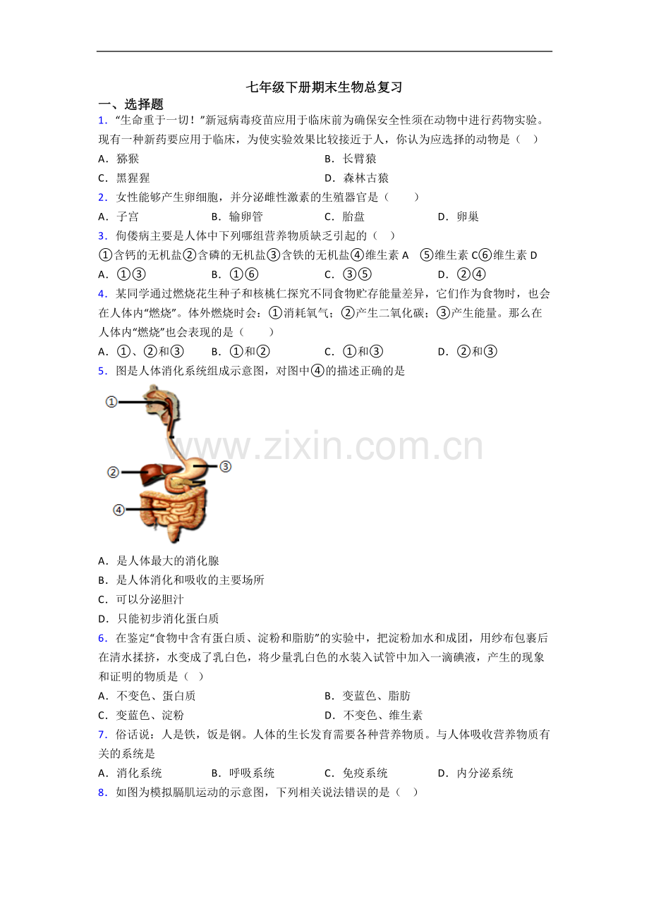 七年级下册期末生物总复习.doc_第1页