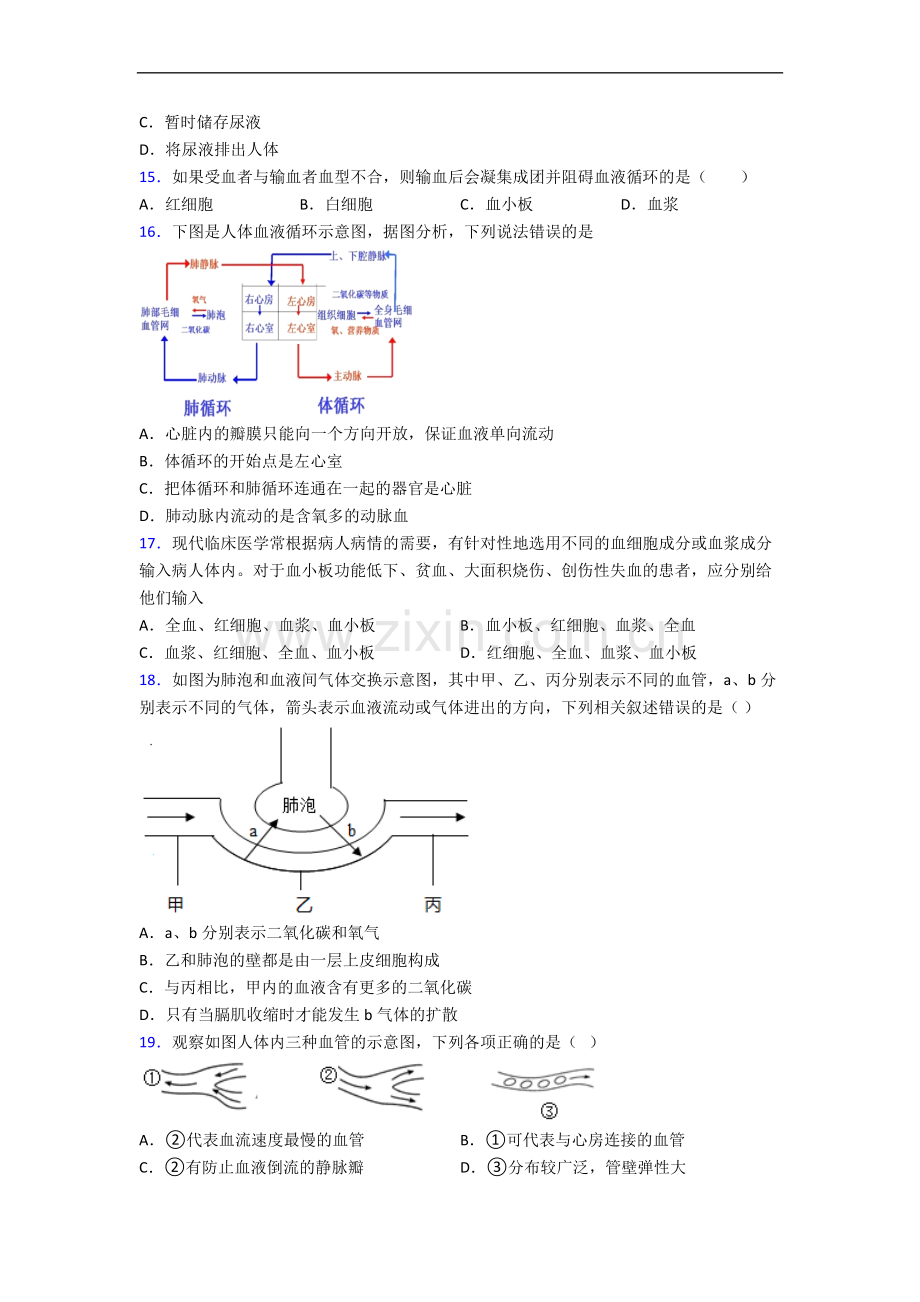 七年级下册期末生物总复习.doc_第3页