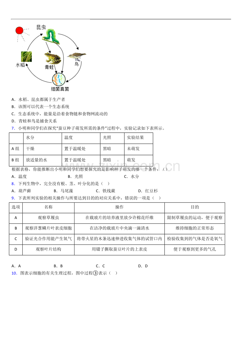 人教版七年级生物上册期末期末试卷及答案.doc_第2页