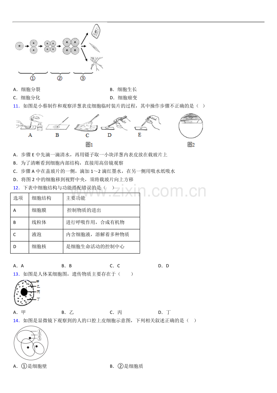 人教版七年级生物上册期末期末试卷及答案.doc_第3页