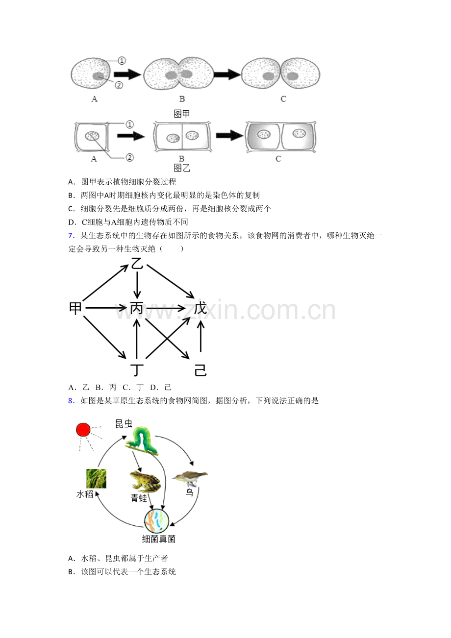 成都生物七年级上册期末试卷.doc_第2页