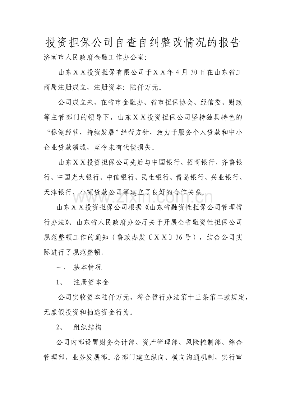 投资担保公司自查自纠整改情况的报告.doc_第1页