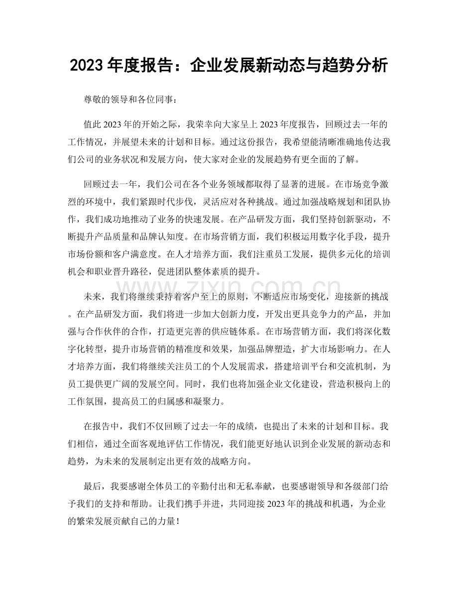 2023年度报告：企业发展新动态与趋势分析.docx_第1页