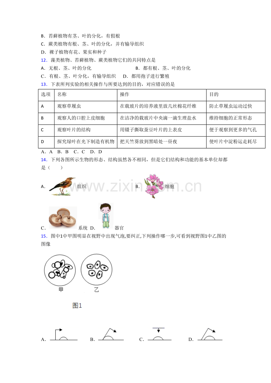 深圳市南山外国语学校生物七年级上册期末试卷.doc_第3页