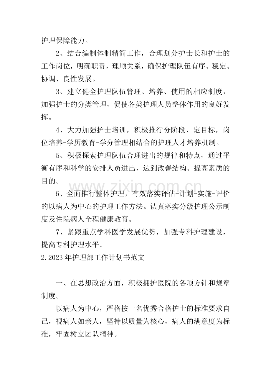 2023年护理部工作计划书范文.doc_第2页