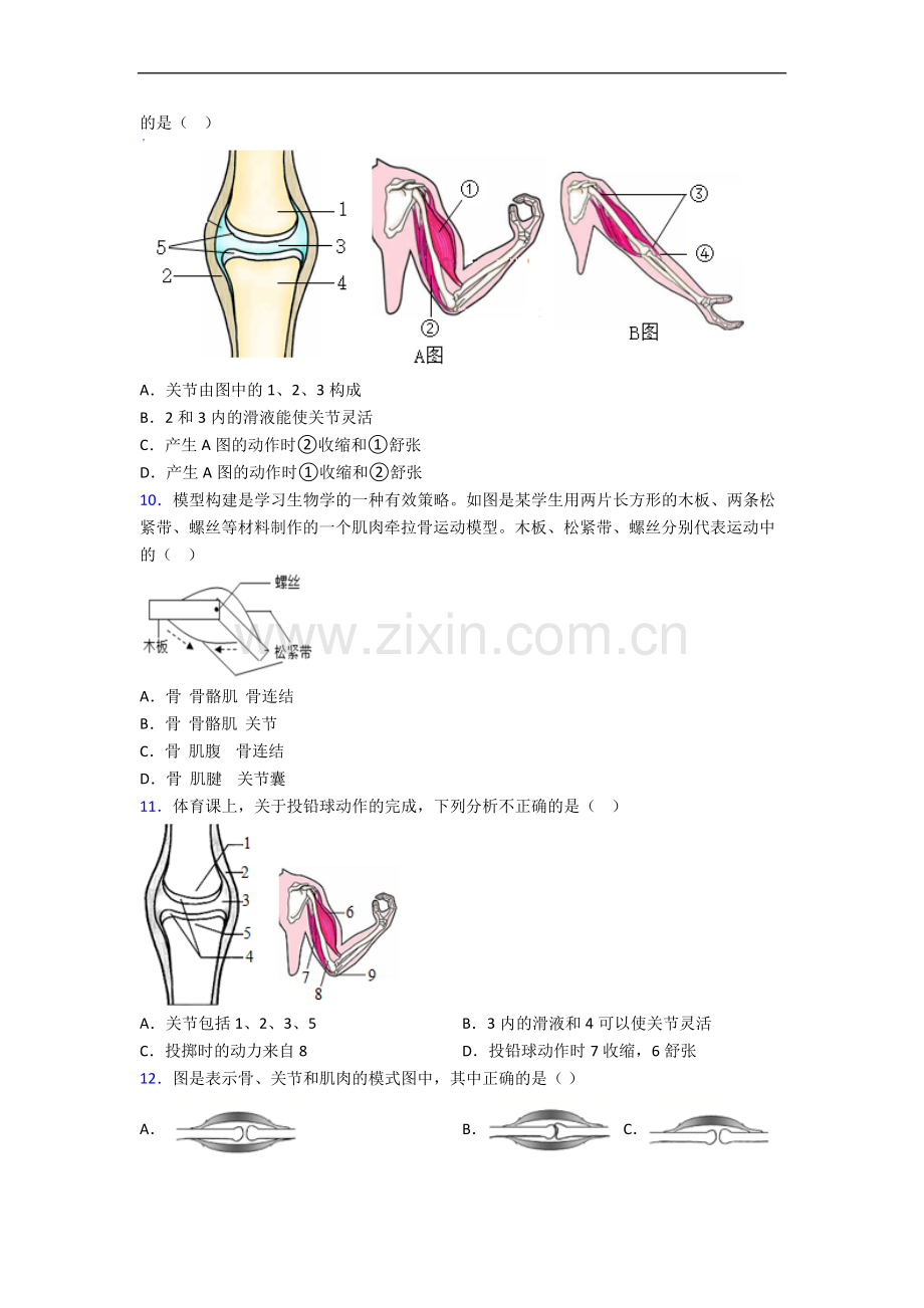 八年级生物上册期中期中复习知识点.doc_第2页