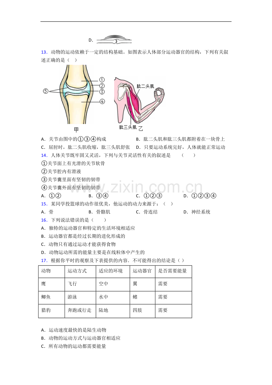 八年级生物上册期中期中复习知识点.doc_第3页