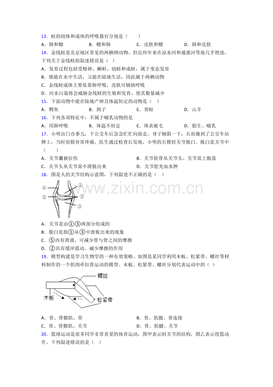 八年级上册生物期末综合题测试卷及答案.doc_第3页