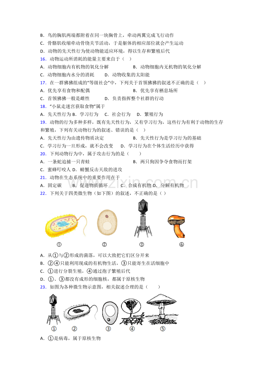 南京市生物八年级上册期末试卷含答案.doc_第3页