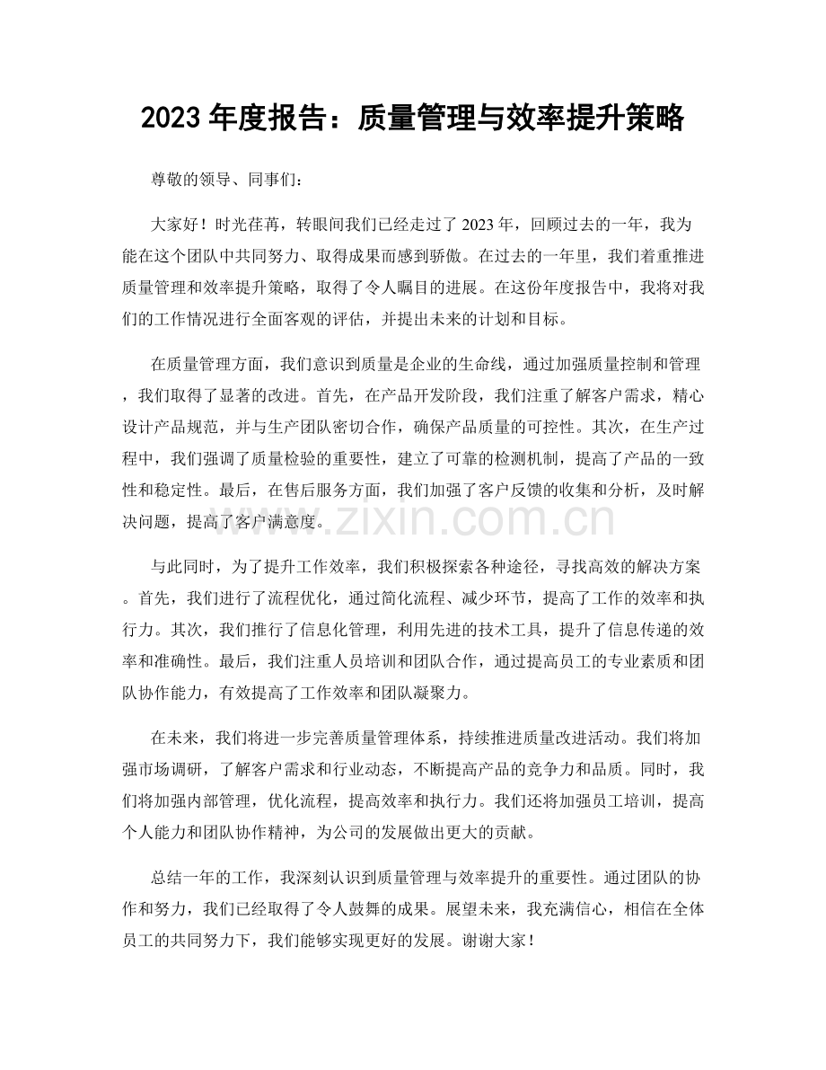 2023年度报告：质量管理与效率提升策略.docx_第1页