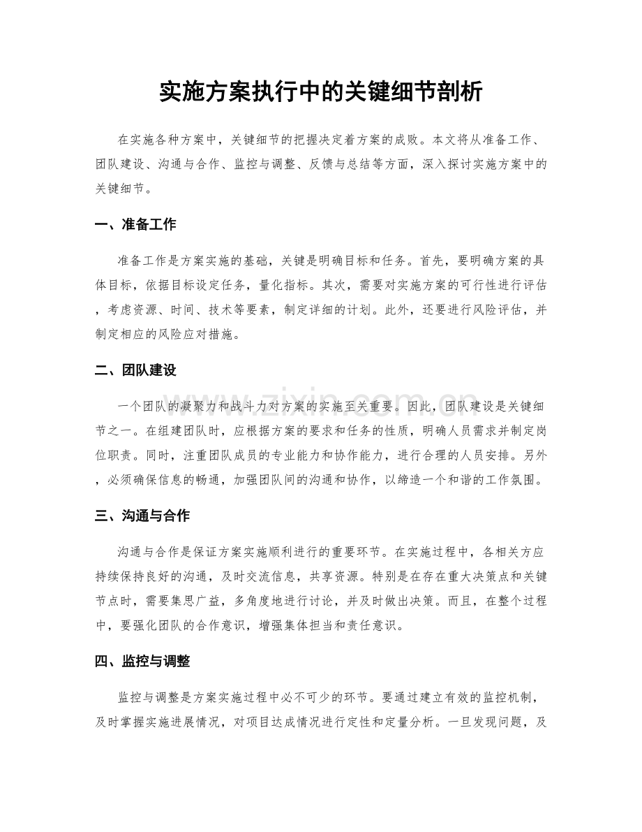 实施方案执行中的关键细节剖析.docx_第1页