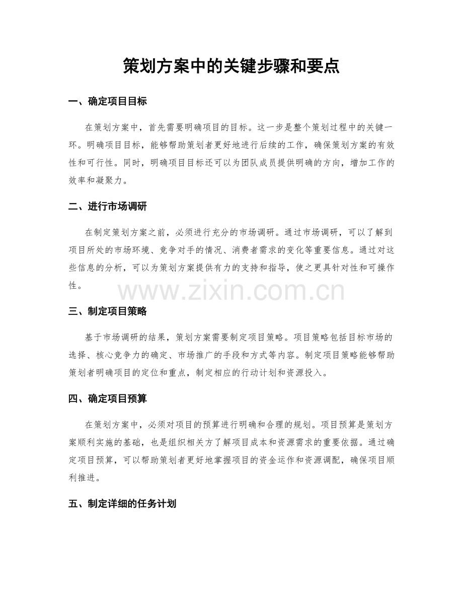 策划方案中的关键步骤和要点.docx_第1页