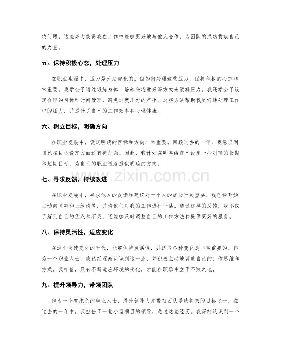 年终总结的职业成长和发展规划.docx_第2页