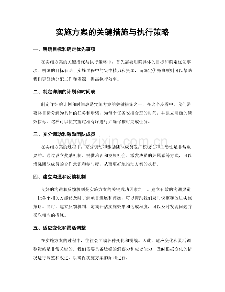 实施方案的关键措施与执行策略.docx_第1页