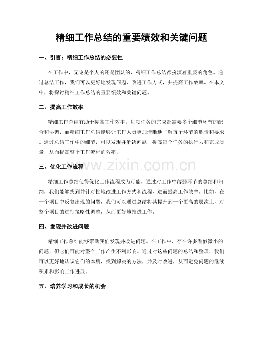 精细工作总结的重要绩效和关键问题.docx_第1页