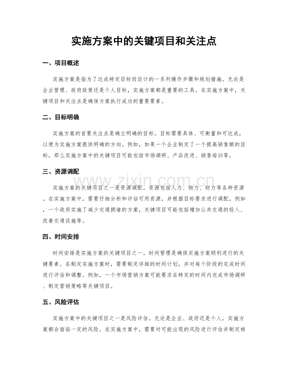 实施方案中的关键项目和关注点.docx_第1页